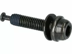 Shimano Befestigungsschraube Für Flat-Mount-Scheibenbremssättel 23 Mm Für 10 Mm Rahmen