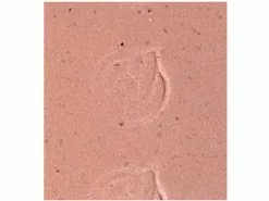 Cinelli Cork Ribbon, Natural