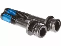 Shimano Satz Befestigungsschrauben Für Bremssattel - M6x40,2 Mm Auf SMMAF203PPM